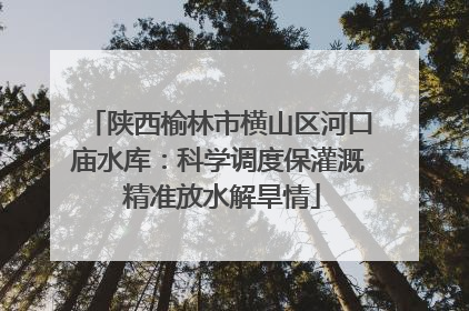 陕西榆林市横山区河口庙水库：科学调度保灌溉 精准放水解旱情