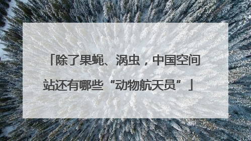 除了果蝇、涡虫，中国空间站还有哪些“动物航天员”