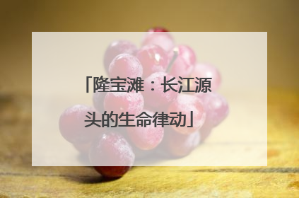 隆宝滩：长江源头的生命律动