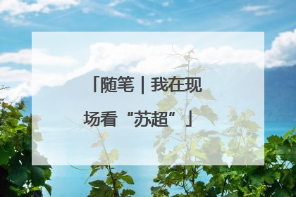 随笔｜我在现场看“苏超”
