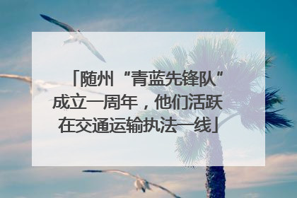随州“青蓝先锋队”成立一周年，他们活跃在交通运输执法一线