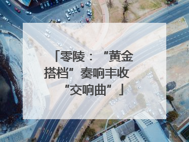 零陵：“黄金搭档”奏响丰收“交响曲”
