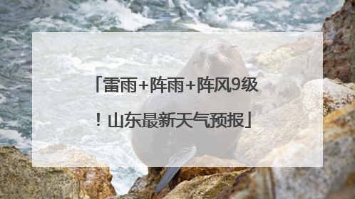 雷雨+阵雨+阵风9级！山东最新天气预报