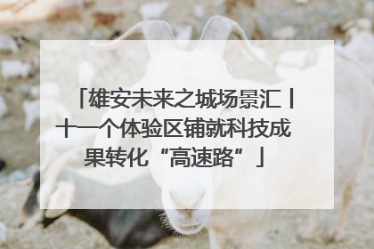 雄安未来之城场景汇丨十一个体验区铺就科技成果转化“高速路”