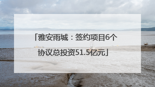 雅安雨城：签约项目6个 协议总投资51.5亿元