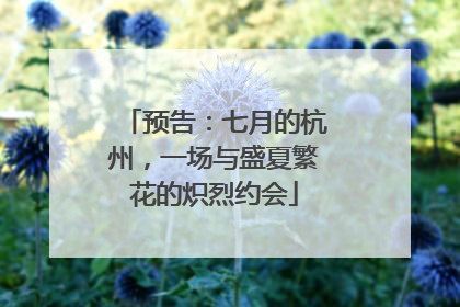 预告：七月的杭州，一场与盛夏繁花的炽烈约会