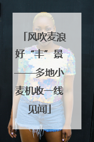 风吹麦浪好“丰”景——多地小麦机收一线见闻