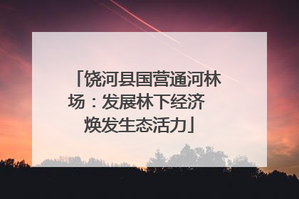 饶河县国营通河林场：发展林下经济 焕发生态活力