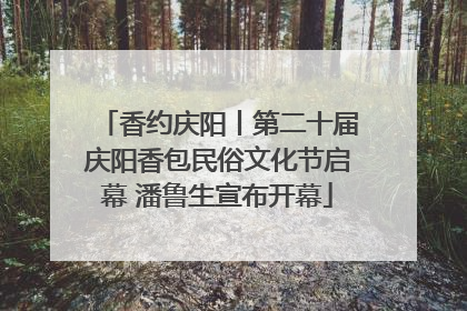 香约庆阳丨第二十届庆阳香包民俗文化节启幕 潘鲁生宣布开幕