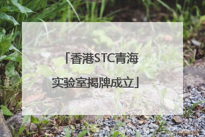 香港STC青海实验室揭牌成立
