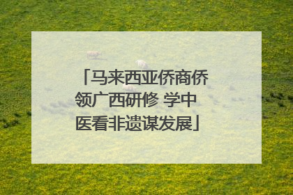 马来西亚侨商侨领广西研修 学中医看非遗谋发展