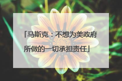马斯克：不想为美政府所做的一切承担责任