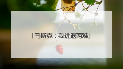 马斯克：我进退两难