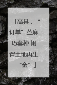 高县：“订单”苎麻巧套种 闲置土地再生“金”