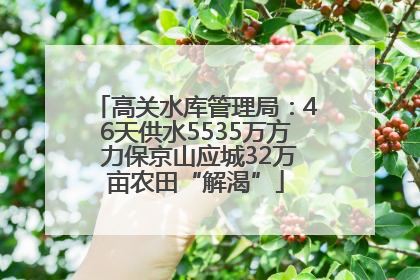 高关水库管理局：46天供水5535万方 力保京山应城32万亩农田“解渴”