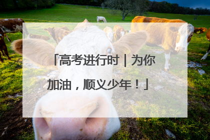 高考进行时｜为你加油，顺义少年！