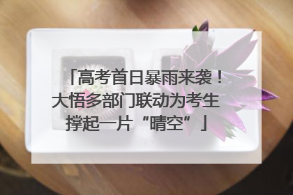 高考首日暴雨来袭！大悟多部门联动为考生撑起一片“晴空”