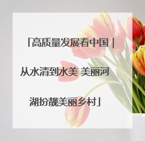 高质量发展看中国｜从水清到水美 美丽河湖扮靓美丽乡村