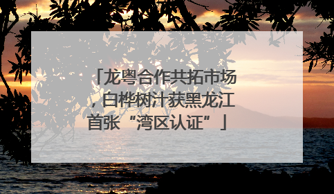 龙粤合作共拓市场，白桦树汁获黑龙江首张“湾区认证”