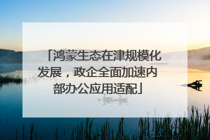鸿蒙生态在津规模化发展，政企全面加速内部办公应用适配