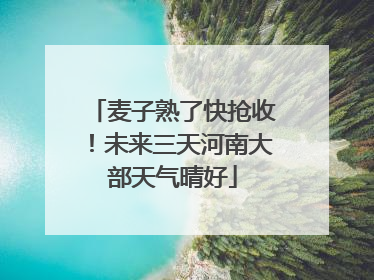 麦子熟了快抢收！未来三天河南大部天气晴好