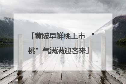 黄陂早鲜桃上市 “桃”气满满迎客来