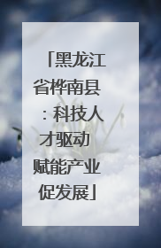 黑龙江省桦南县：科技人才驱动 赋能产业促发展