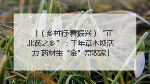 （乡村行·看振兴）“正北芪之乡”：千年草本焕活力 药材生“金”富农家
