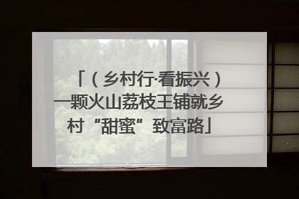 （乡村行·看振兴）一颗火山荔枝王铺就乡村“甜蜜”致富路