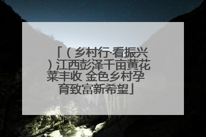 （乡村行·看振兴）江西彭泽千亩黄花菜丰收 金色乡村孕育致富新希望