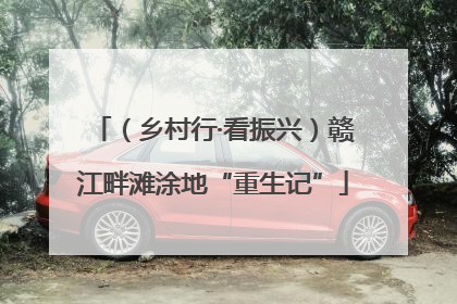 （乡村行·看振兴）赣江畔滩涂地“重生记”