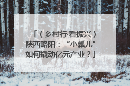 （乡村行·看振兴）陕西略阳：“小瓢儿”如何撬动亿元产业？