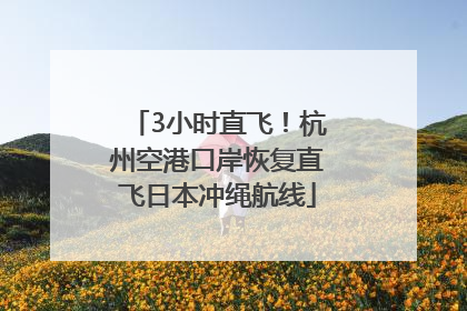3小时直飞！杭州空港口岸恢复直飞日本冲绳航线