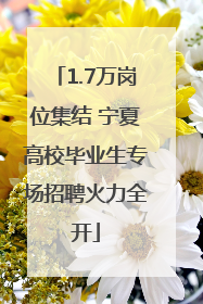 1.7万岗位集结 宁夏高校毕业生专场招聘火力全开