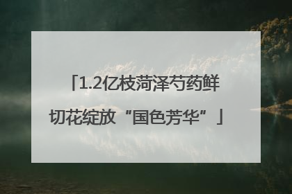 1.2亿枝菏泽芍药鲜切花绽放“国色芳华”
