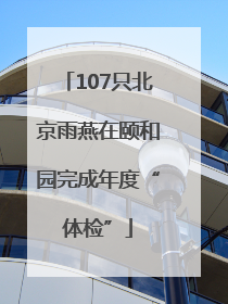 107只北京雨燕在颐和园完成年度“体检”