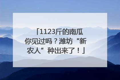 1123斤的南瓜你见过吗？潍坊“新农人”种出来了！