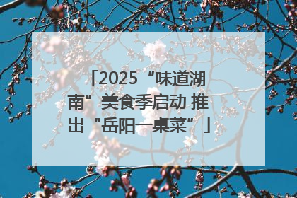 2025“味道湖南”美食季启动 推出“岳阳一桌菜”