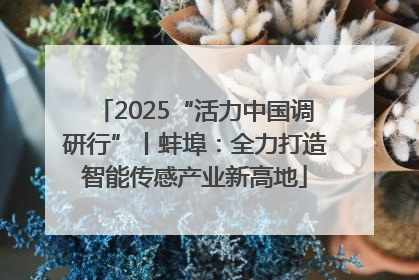 2025“活力中国调研行”丨蚌埠：全力打造智能传感产业新高地