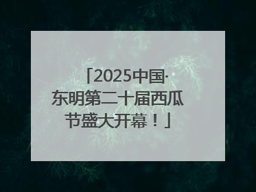 2025中国·东明第二十届西瓜节盛大开幕！