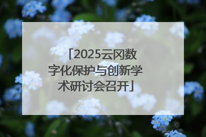 2025云冈数字化保护与创新学术研讨会召开