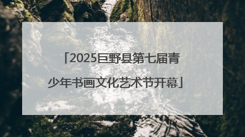 2025巨野县第七届青少年书画文化艺术节开幕