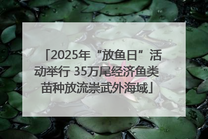 2025年“放鱼日”活动举行 35万尾经济鱼类苗种放流崇武外海域