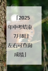 2025年中考结束 7月8日左右可查询成绩