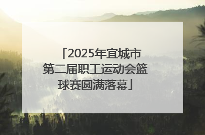 2025年宜城市第二届职工运动会篮球赛圆满落幕