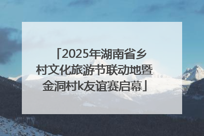 2025年湖南省乡村文化旅游节联动地暨金洞村k友谊赛启幕