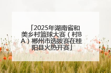 2025年湖南省和美乡村篮球大赛（村BA）郴州市选拔赛在桂阳县火热开赛