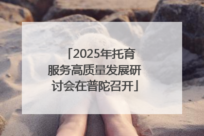 2025年托育服务高质量发展研讨会在普陀召开