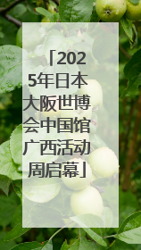 2025年日本大阪世博会中国馆广西活动周启幕