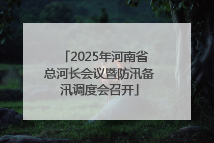 2025年河南省总河长会议暨防汛备汛调度会召开